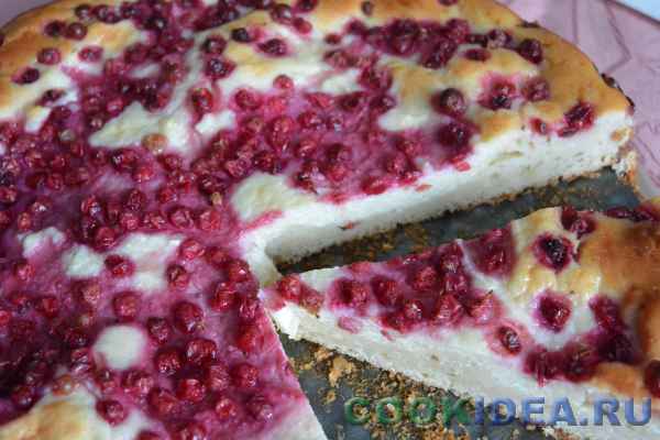 Пирог с начинкой из творога и брусники