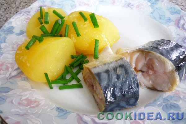 Скумбрия малосольная Скумбрия малосольная